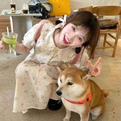 再见我的新郎